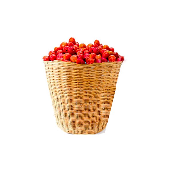 Fresh Tomatoes Basket