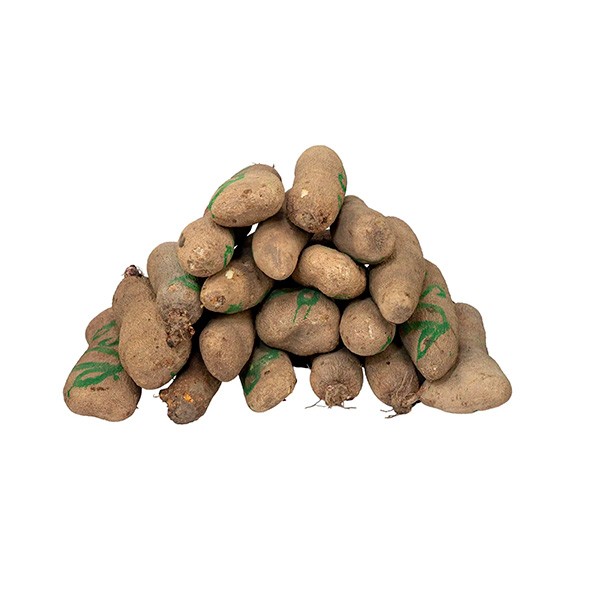 Yam 20pcs - Benue